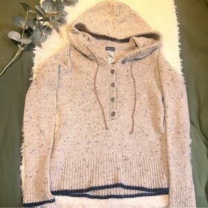 RARE Patagonia wool pullover hooded sweater
